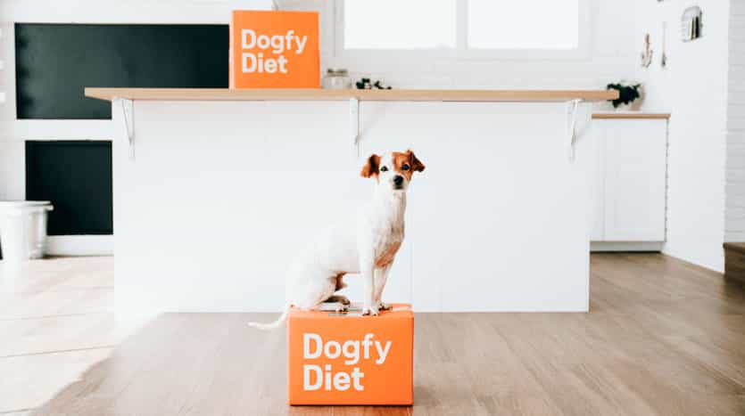 dogfy diet 03 27/05/2022 https://calisea.es/wp-content/uploads/2020/03/logo-calisea-consulting-blue-black.webp
